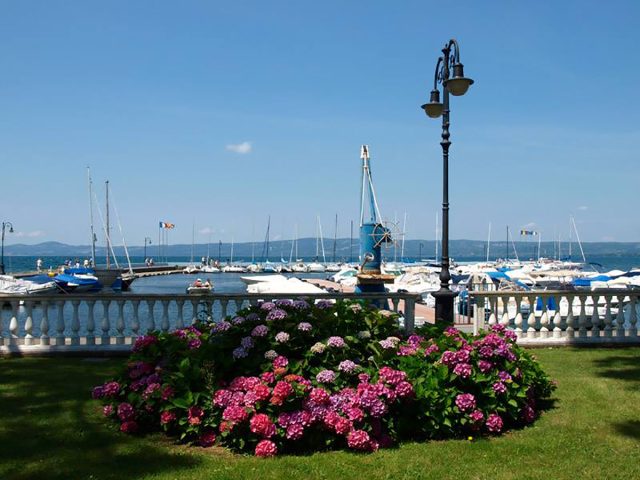 Guide Turistiche Bolsena 4