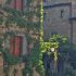 Guide Turistiche Civita di Bagnoregio 1