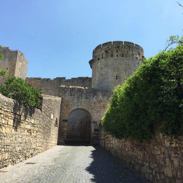 Tarquinia-Tuscania. Tour 1 giorno.