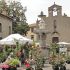 Viterbo. Piazza San Silvestro. Guide Turistiche Viterbo.