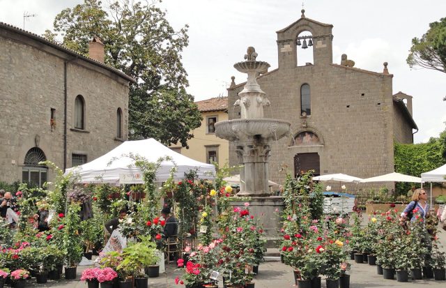 Viterbo. Piazza San Silvestro. Guide Turistiche Viterbo.
