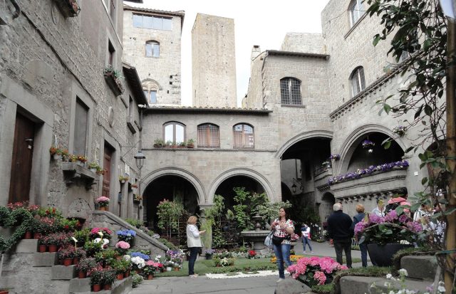 Viterbo. Quartiere San Pellegrino. Guide Turistiche Viterbo. 
