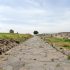 Vulci. Parco Archeologico. Strada di epoca romana. Guide Turistiche Viterbo.