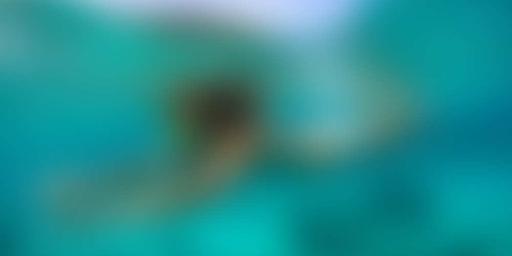https://www.guideturisticheviterbo.it/wp-content/uploads/2014/03/bigstock-Young-lady-snorkeling-in-a-cle.jpg